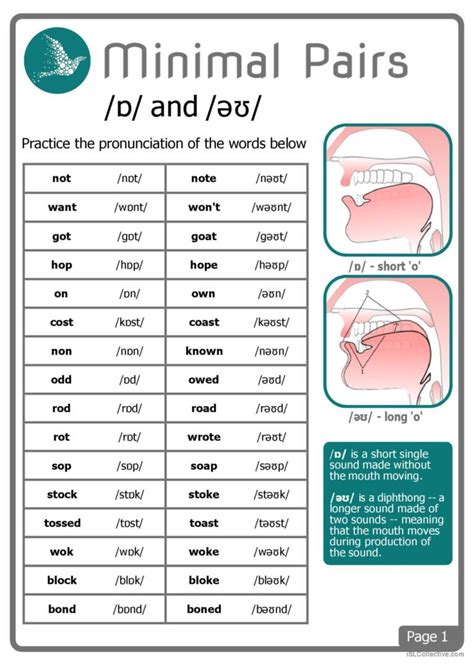 d&w collection|how to pronounce ů.